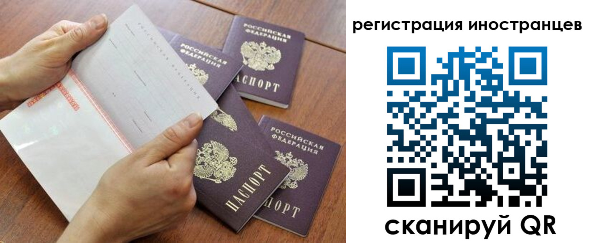 прописка поиск в Кандалакше